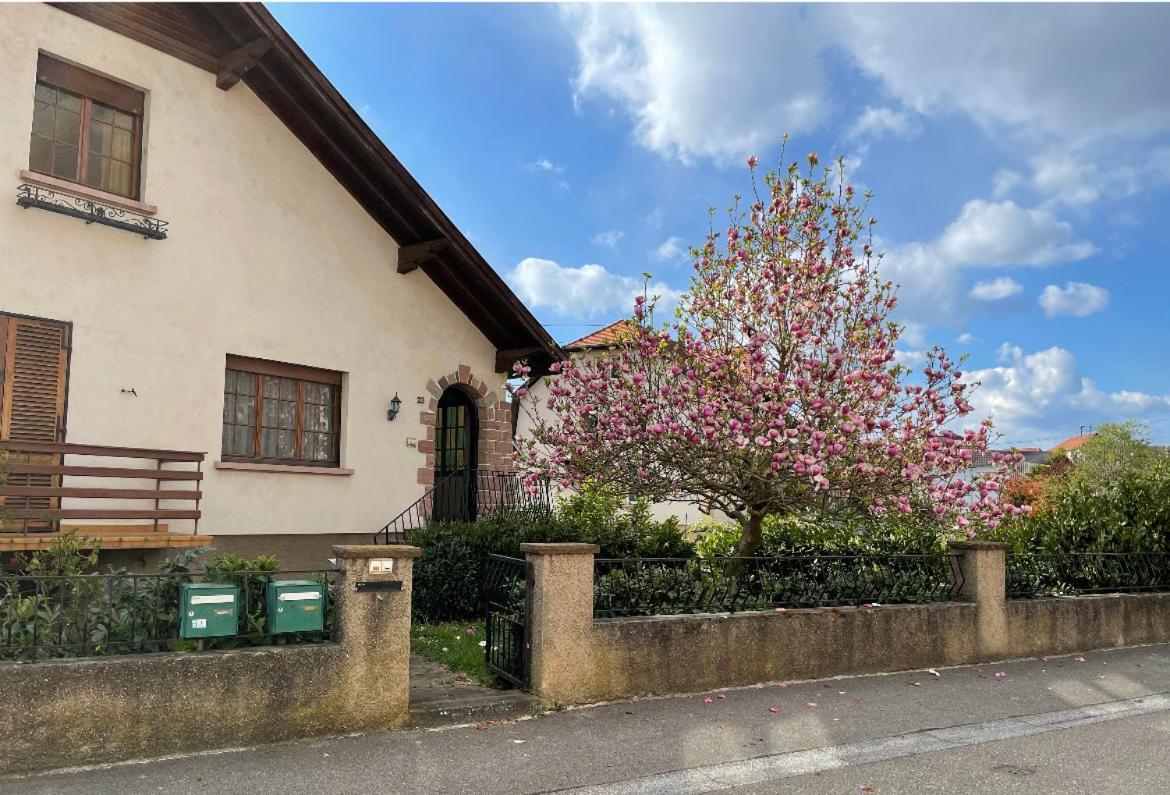 Villa Schmitt Selestat Bagian luar foto