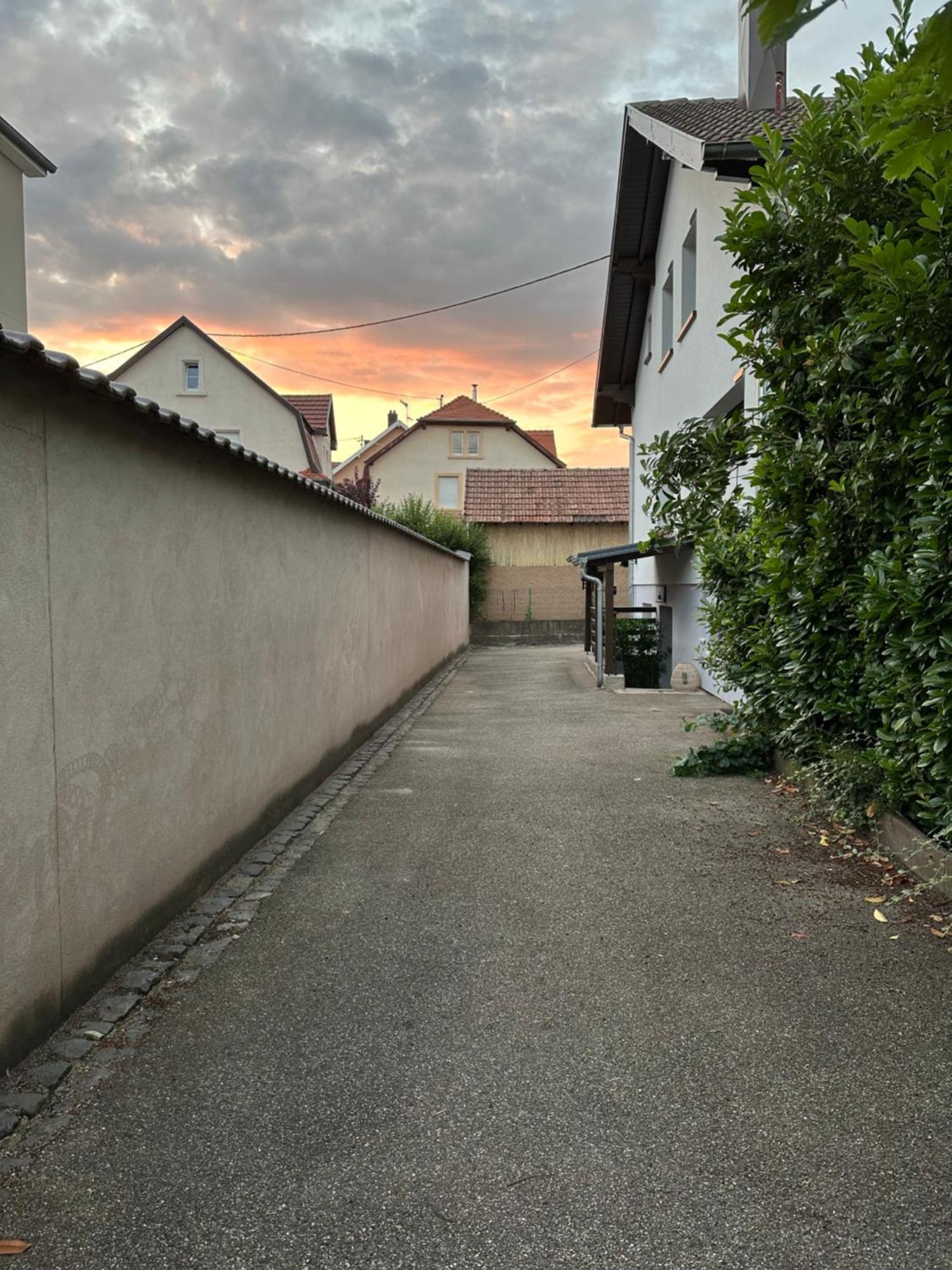 Villa Schmitt Selestat Bagian luar foto