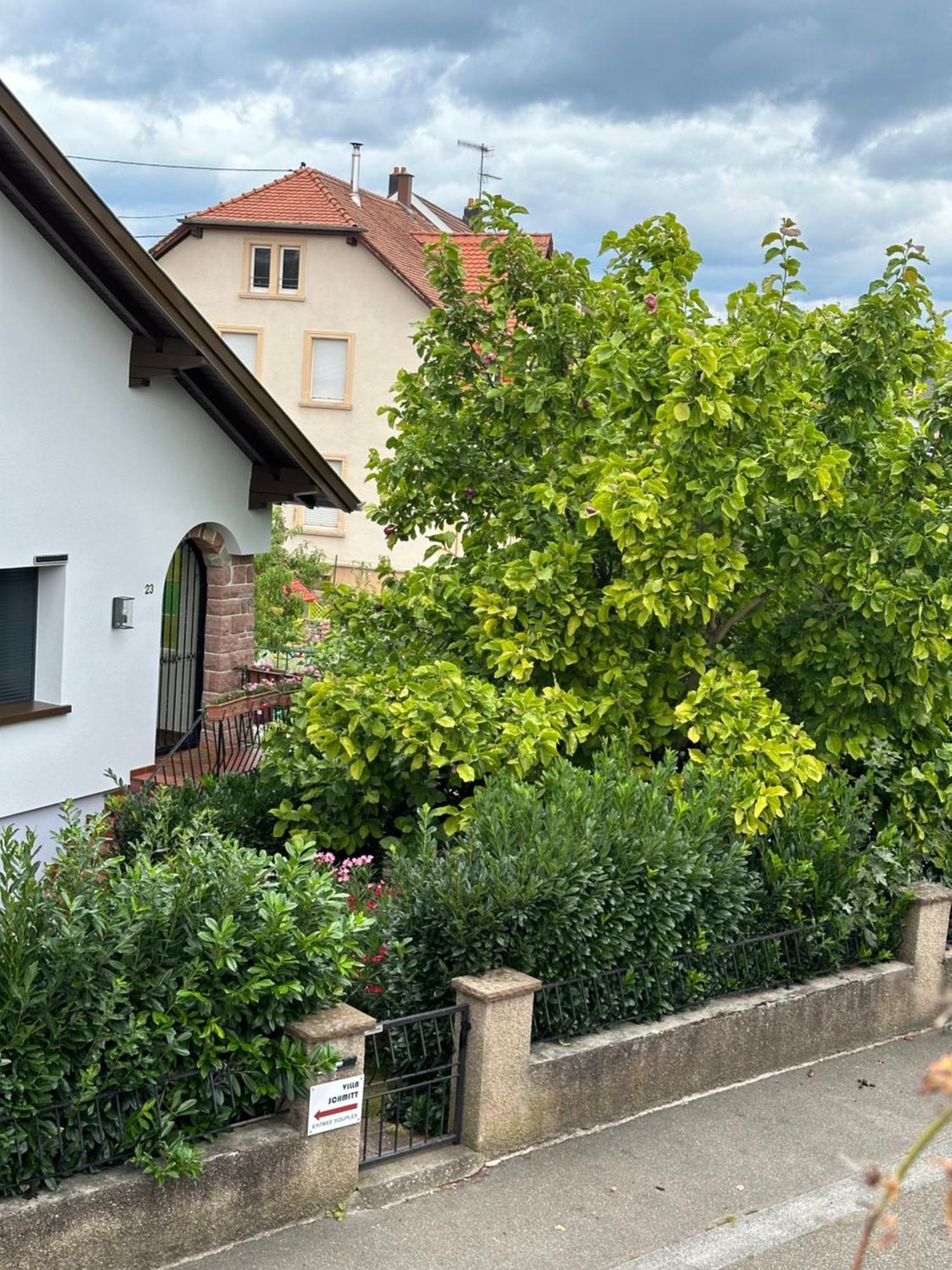 Villa Schmitt Selestat Bagian luar foto